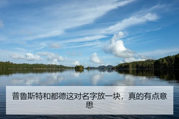 pu-lu-si-te-he-dou-de-zhe-dui-ming-zi-fang-yi-kuai-zhen-de-you-dian-yi-si-1-353.jpg