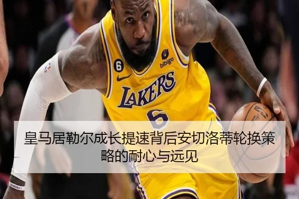 huang-ma-ju-lei-er-cheng-zhang-ti-su-bei-hou-an-qie-luo-di-lun-huan-ce-lve-de-nai-xin-yu-yuan-jian-2-898.jpg