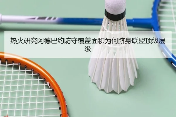 热火研究阿德巴约防守覆盖面积为何跻身联盟顶级层级